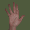 Hand 01