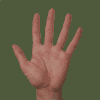 Hand 02