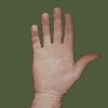 Hand 05