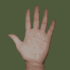 Hand 06