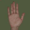 Hand 07