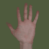 Hand 08