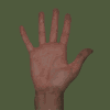 Hand 09