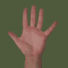 Hand 10